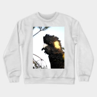 Yellow-tailed Black Cockatoo Crewneck Sweatshirt